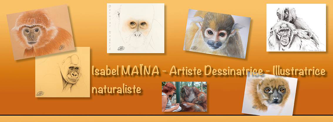 Isabel Maïna