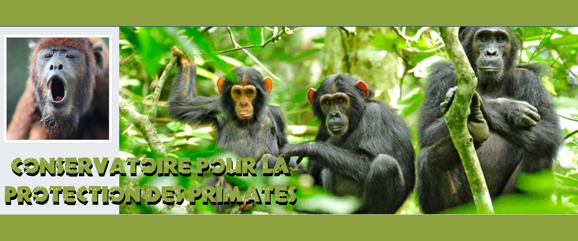 Conservatoire pour la Protection des Primates