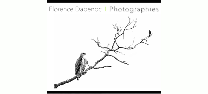 Florence Dabenoc - Photographie