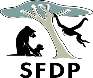 Logo sfdp